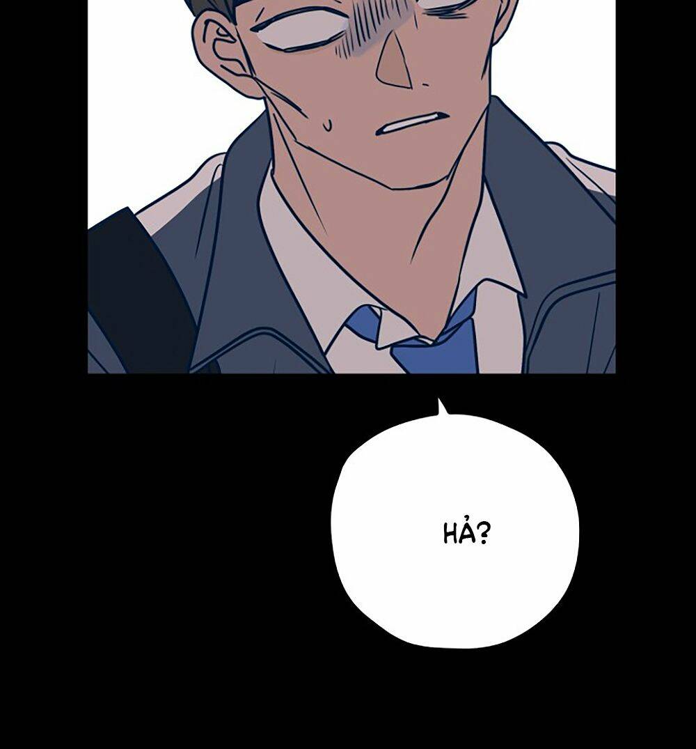 Kẻ Rác Rưởi Không Đáng Được Yêu Chapter 39 - Trang 2