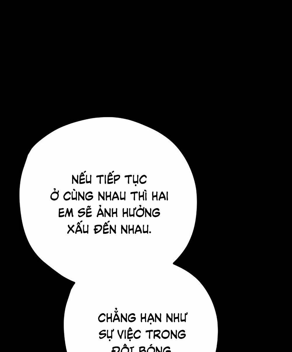 Kẻ Rác Rưởi Không Đáng Được Yêu Chapter 41 - Trang 2