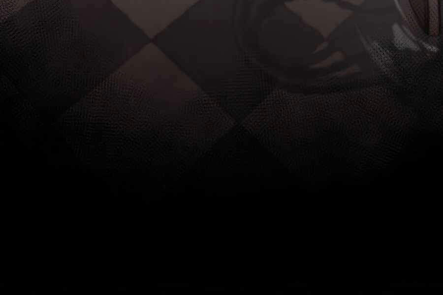 Kẻ Thách Đấu Chapter 16.5 - Trang 2