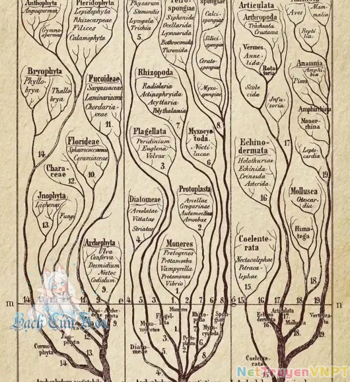 Kẻ Thách Thức Hay Nhà Không Tưởng Chapter 2 - Trang 2