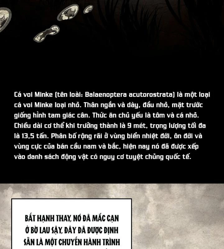 Kẻ Thách Thức Hay Nhà Không Tưởng Chapter 4 - Trang 2