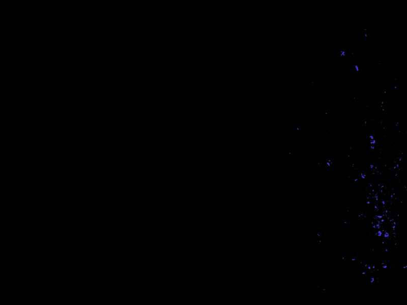 Kể Từ Bây Giờ, Tôi Là Một Người Chơi Chapter 39 - Trang 2