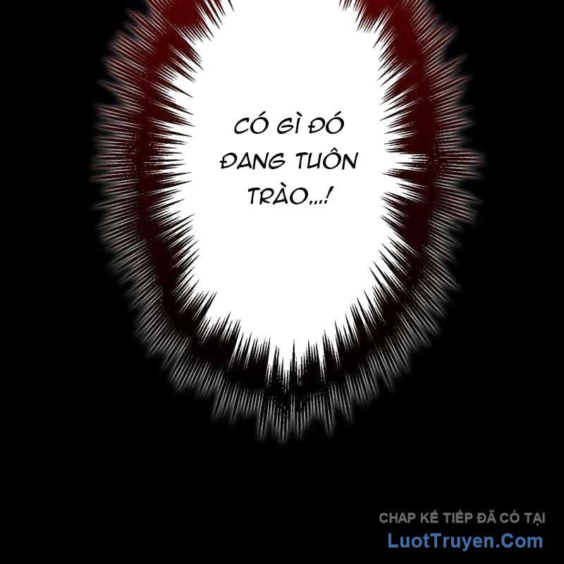 Kẻ Vượt Trội Từ Địa Giới Vô Địch Tại Trường Học Chapter 11 - Trang 2