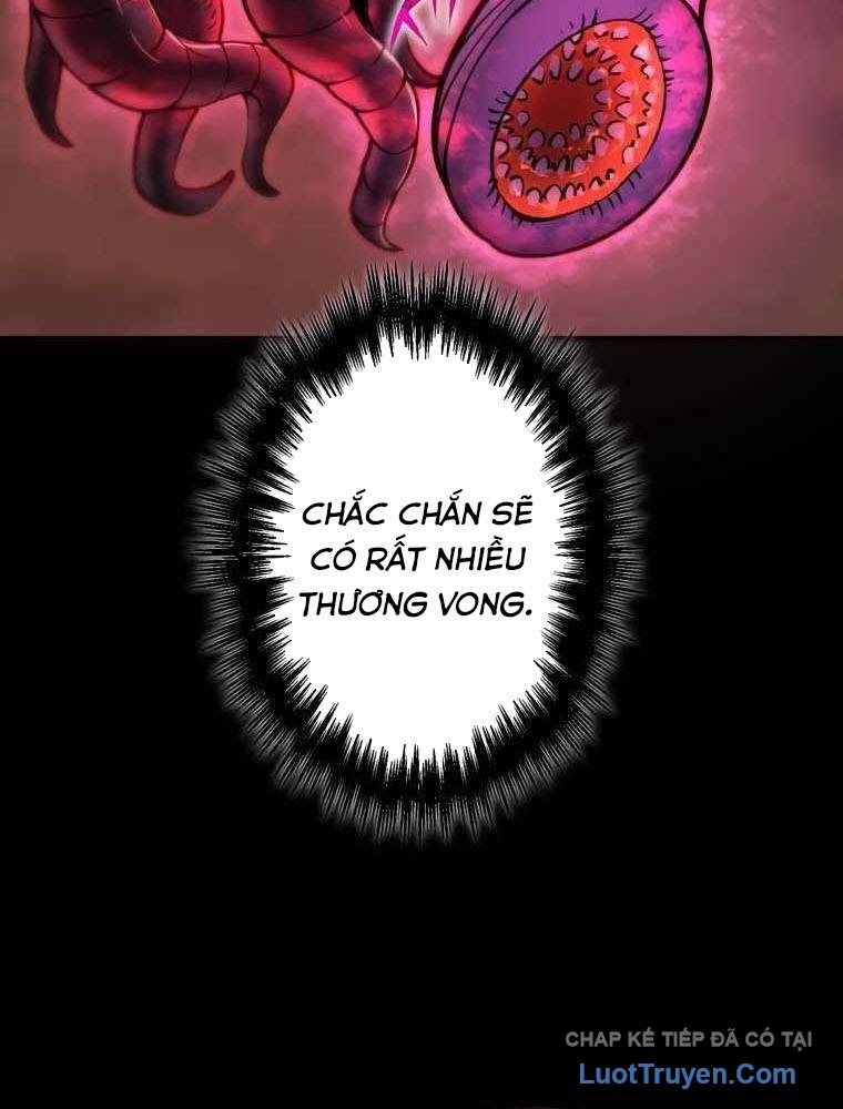 Kẻ Vượt Trội Từ Địa Giới Vô Địch Tại Trường Học Chapter 13 - Trang 2