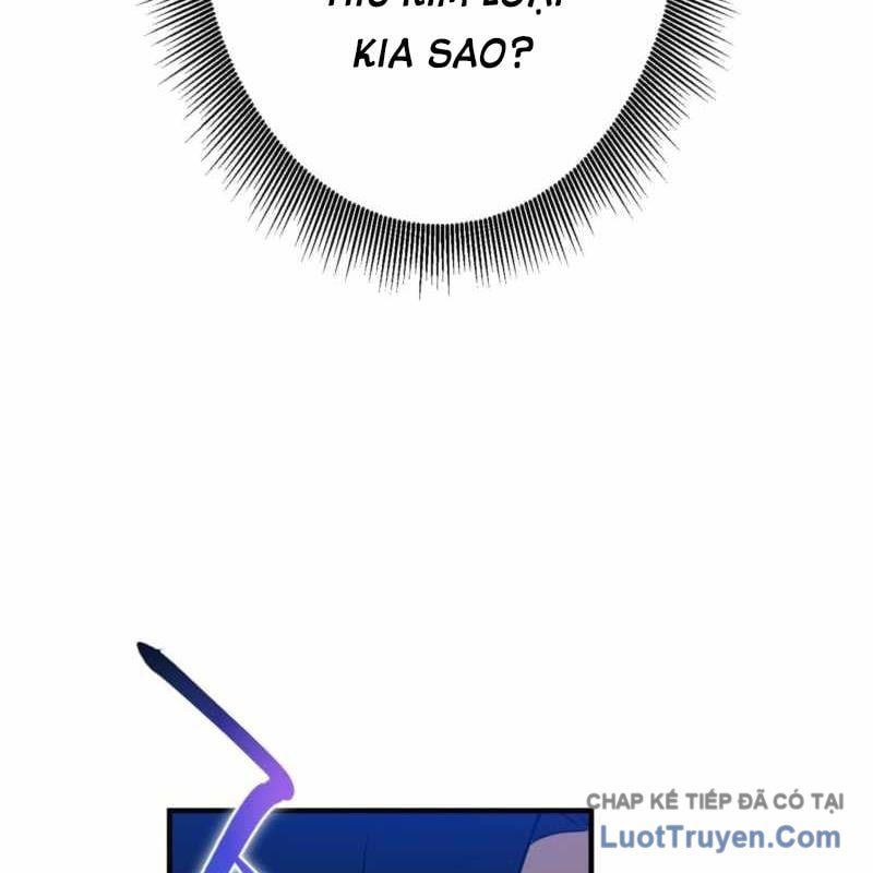 Kẻ Vượt Trội Từ Địa Giới Vô Địch Tại Trường Học Chapter 23 - Trang 2