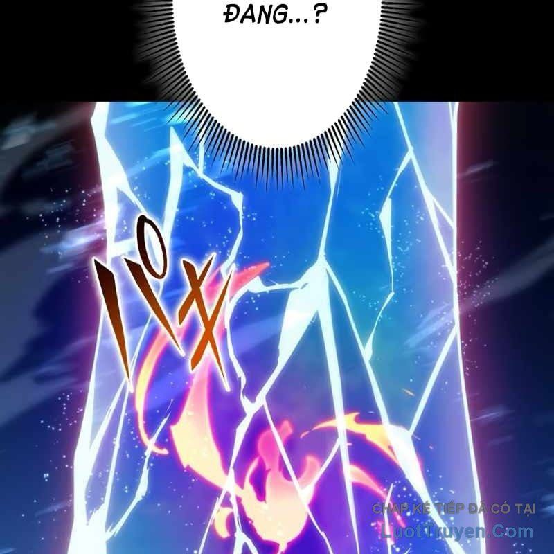 Kẻ Vượt Trội Từ Địa Giới Vô Địch Tại Trường Học Chapter 8 - Trang 2