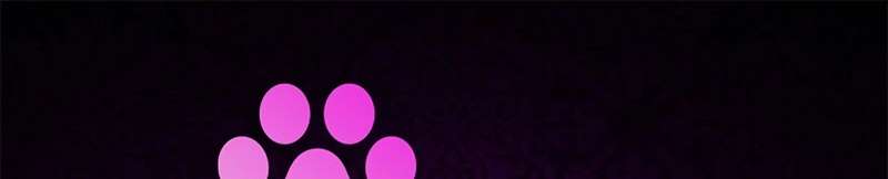 Kết Cục Của Cuộc Hôn Nhân Hợp Đồng Cao Cấp Chapter 18 - Trang 2