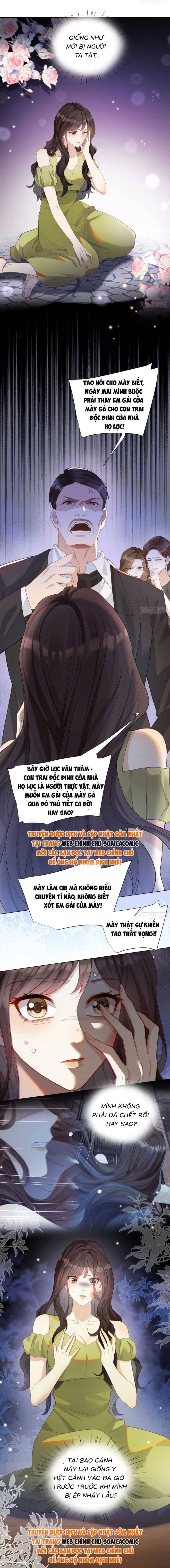 Kết Hôn Với Đại Lão Thực Vật Chapter 1 - Trang 2