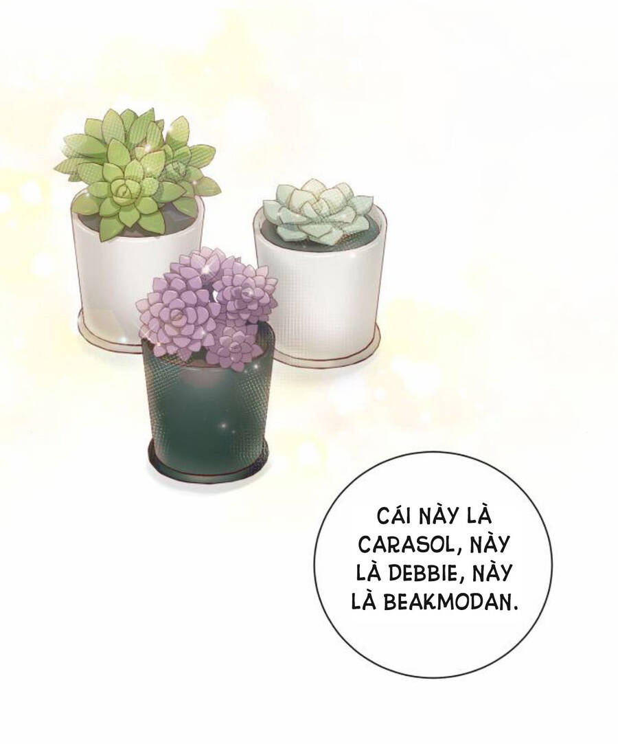 Kết Thúc Nhất Định Sẽ Có Hậu Chapter 50 - Trang 2