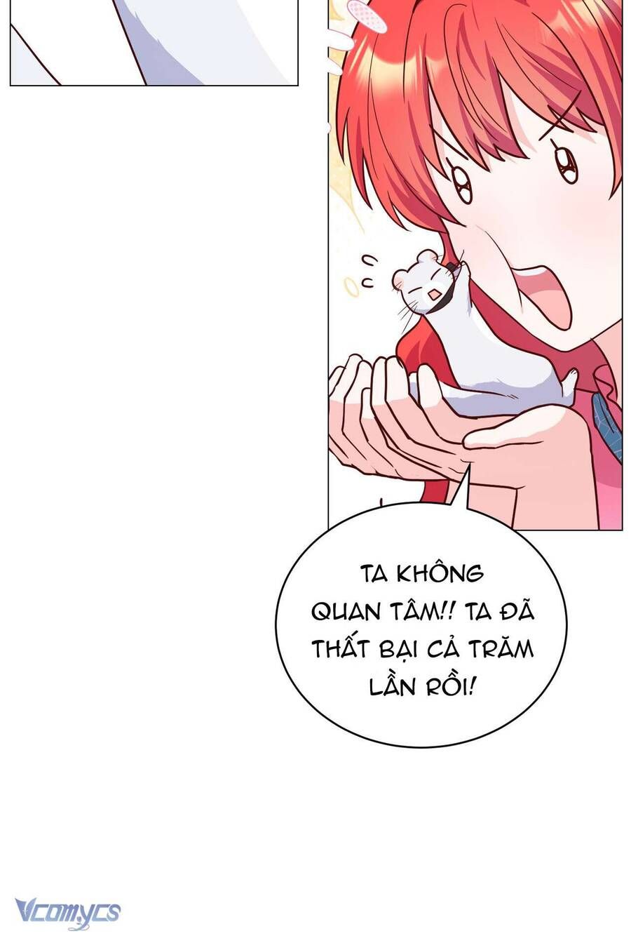 Kết Thúc Viên Mãn Không Cần Tình Yêu Chapter 4 - Trang 2