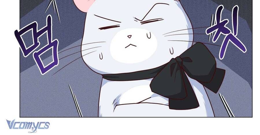 Kết Thúc Viên Mãn Không Cần Tình Yêu Chapter 4 - Trang 2