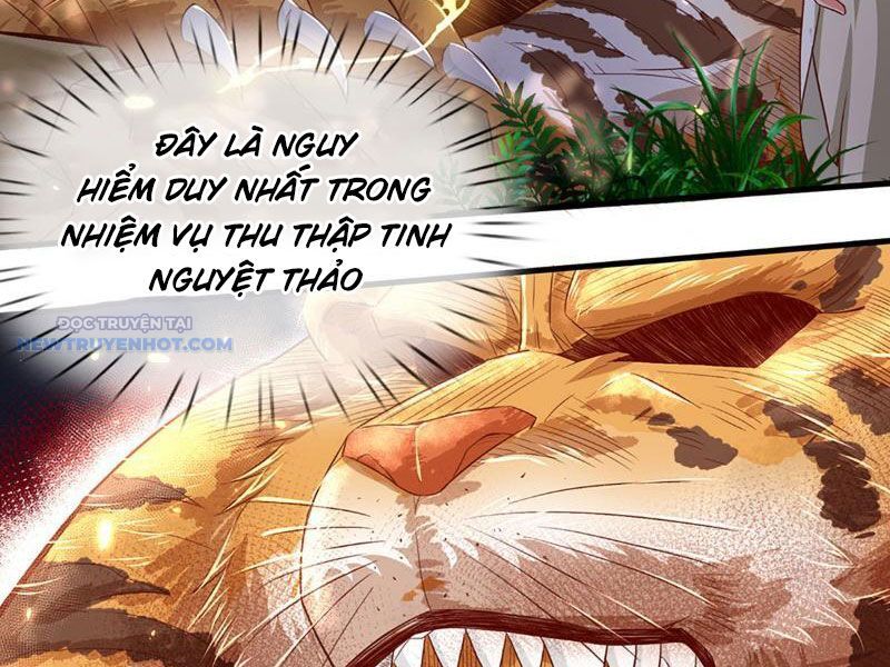Khắc Đan Tu Tiên Chỉ Cẩu Trường Sinh Chapter 19 - Trang 2