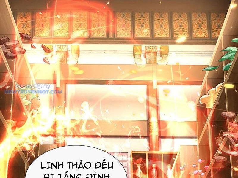 Khắc Đan Tu Tiên Chỉ Cẩu Trường Sinh Chapter 39 - Trang 2
