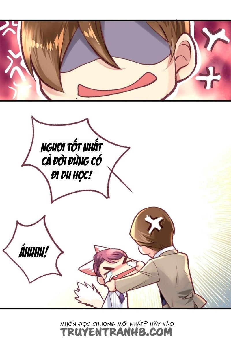 Khanh Như Tơ Chapter 17 - Trang 2