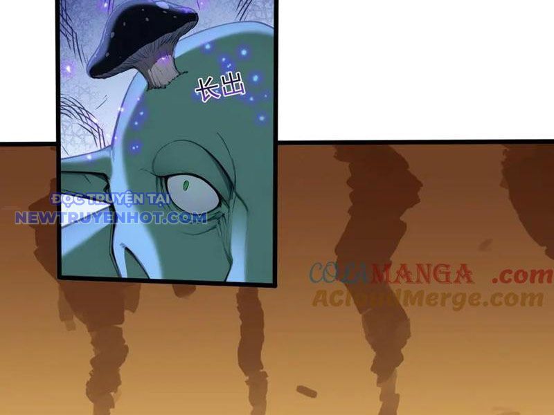 Khắp Thần Giới: Ta Hiến Tế Hàng Vạn Sinh Linh Trở Thành Thần Chapter 81 - Trang 2