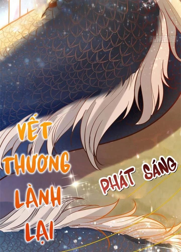 Khi Bác Sĩ Mở Hack Chapter 4 - Trang 2