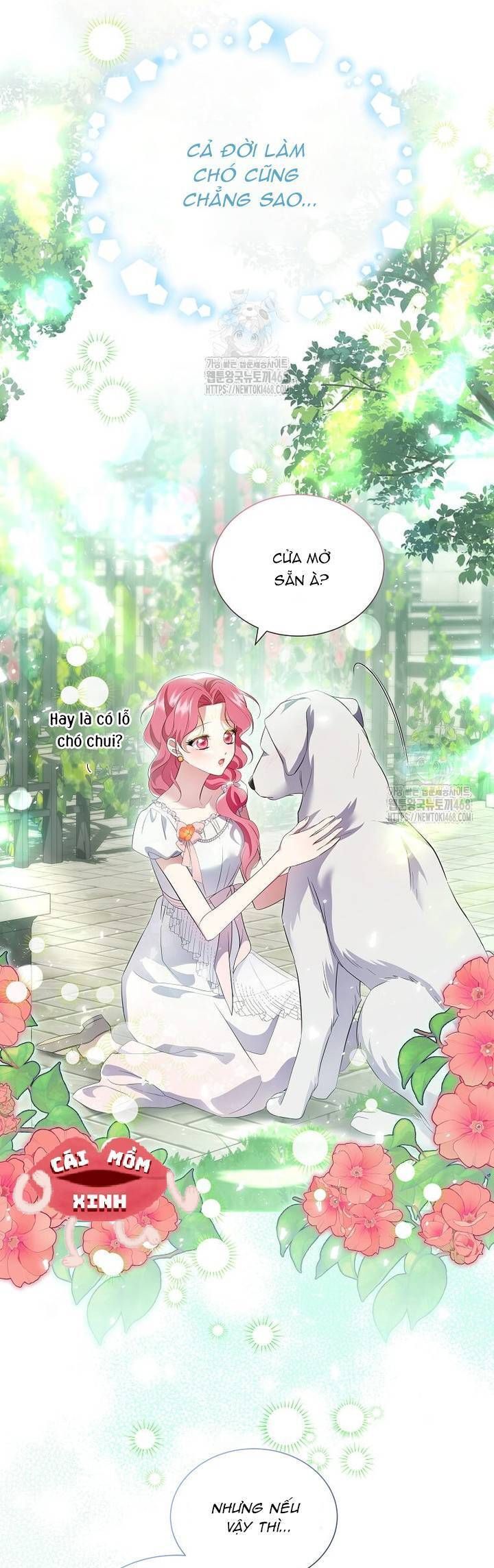 Khi Bị Nam ChíNh DịU DàNg Nhưng Cố ChấP ÁM ẢNh Chapter 14 - Trang 2