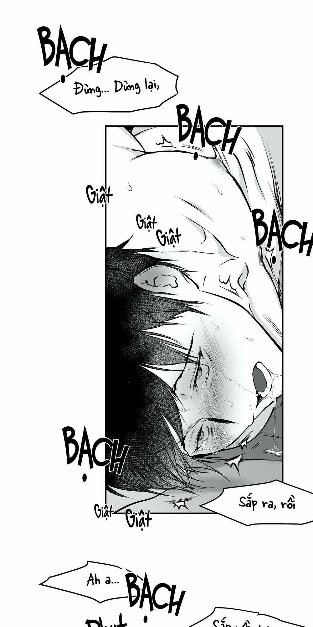 Khi Đôi Chân Thôi Bước Chapter 12 - Trang 2