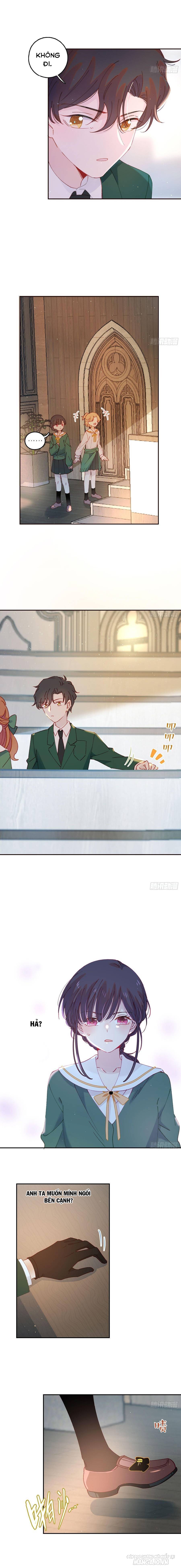 Khi Mộng Thần Yêu Chapter 11 - Trang 2