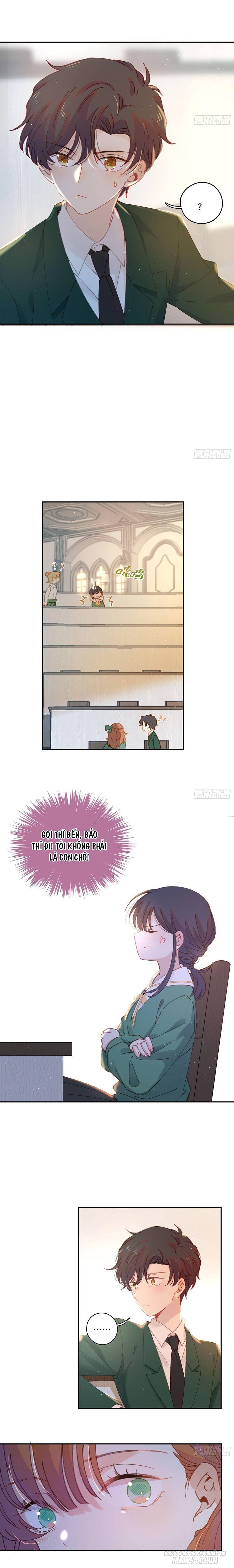 Khi Mộng Thần Yêu Chapter 11 - Trang 2