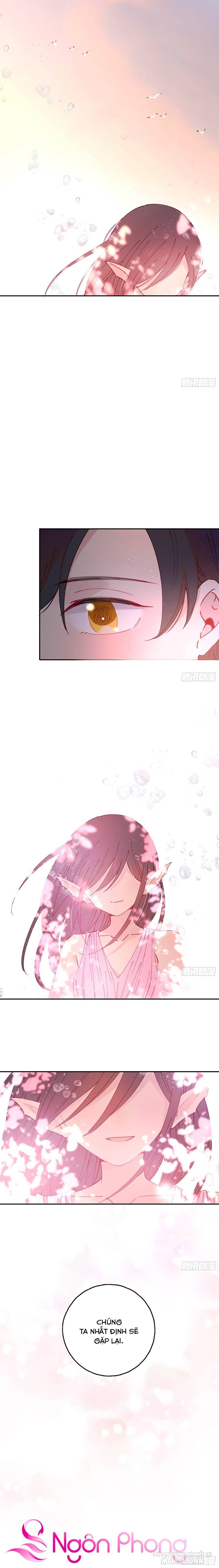 Khi Mộng Thần Yêu Chapter 14 - Trang 2