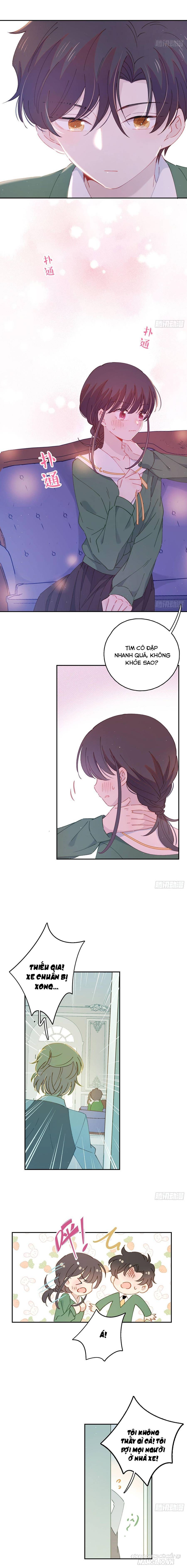 Khi Mộng Thần Yêu Chapter 20 - Trang 2