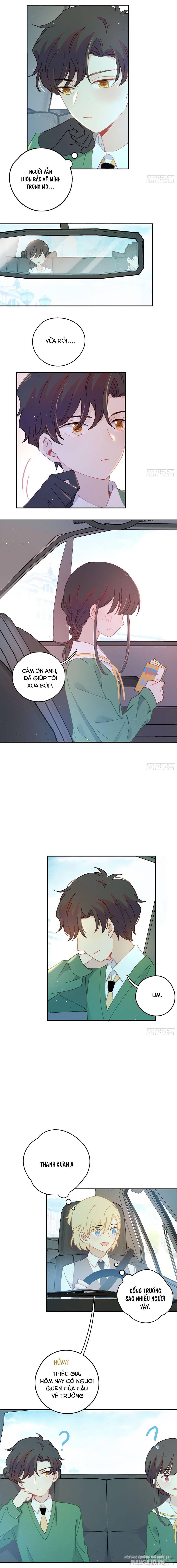 Khi Mộng Thần Yêu Chapter 20 - Trang 2