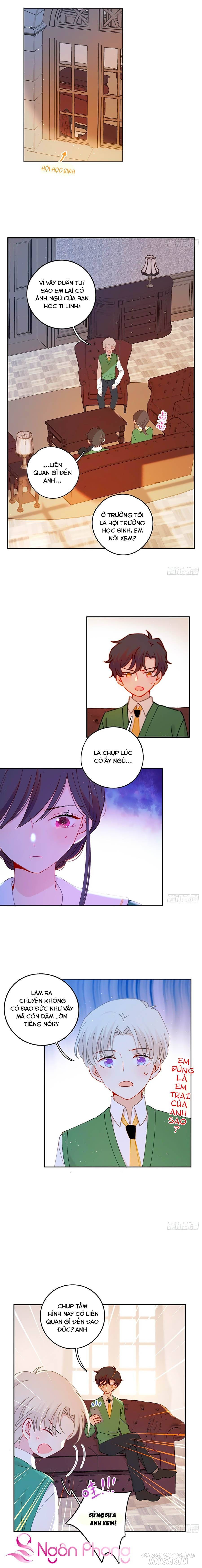 Khi Mộng Thần Yêu Chapter 28 - Trang 2