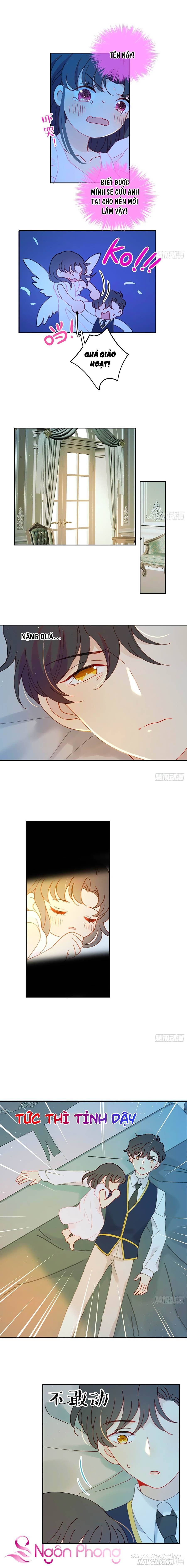 Khi Mộng Thần Yêu Chapter 36 - Trang 2