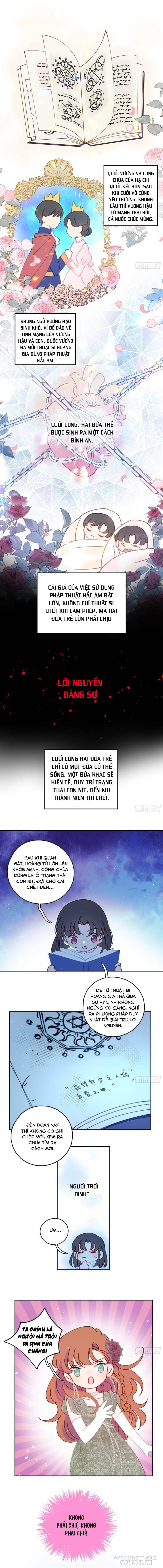 Khi Mộng Thần Yêu Chapter 41 - Trang 2
