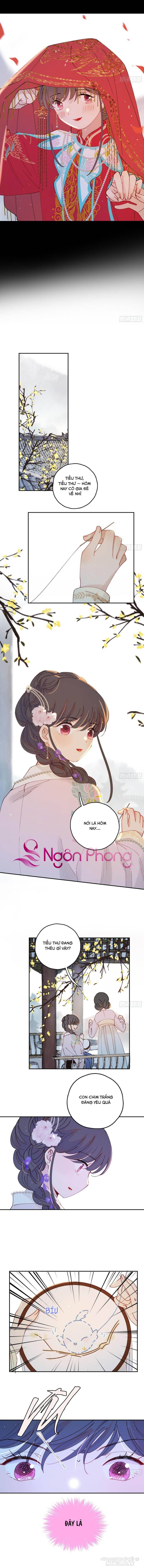 Khi Mộng Thần Yêu Chapter 55 - Trang 2