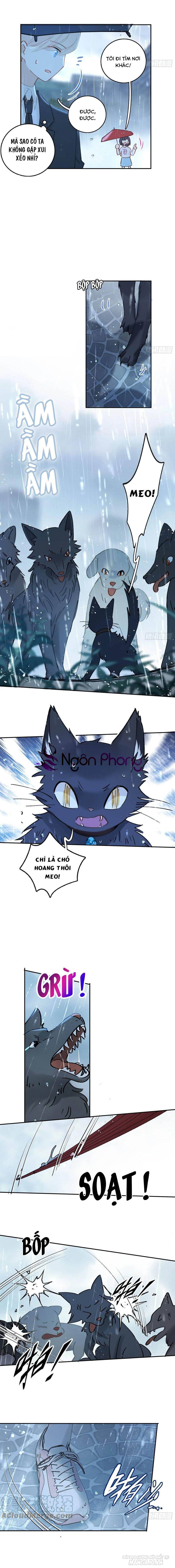 Khi Mộng Thần Yêu Chapter 66 - Trang 2