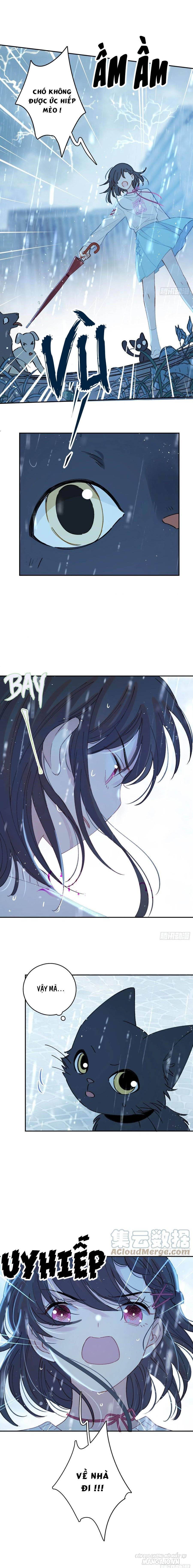 Khi Mộng Thần Yêu Chapter 66 - Trang 2