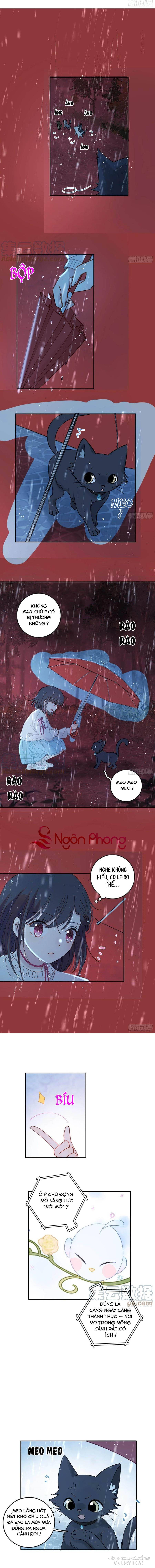 Khi Mộng Thần Yêu Chapter 66 - Trang 2