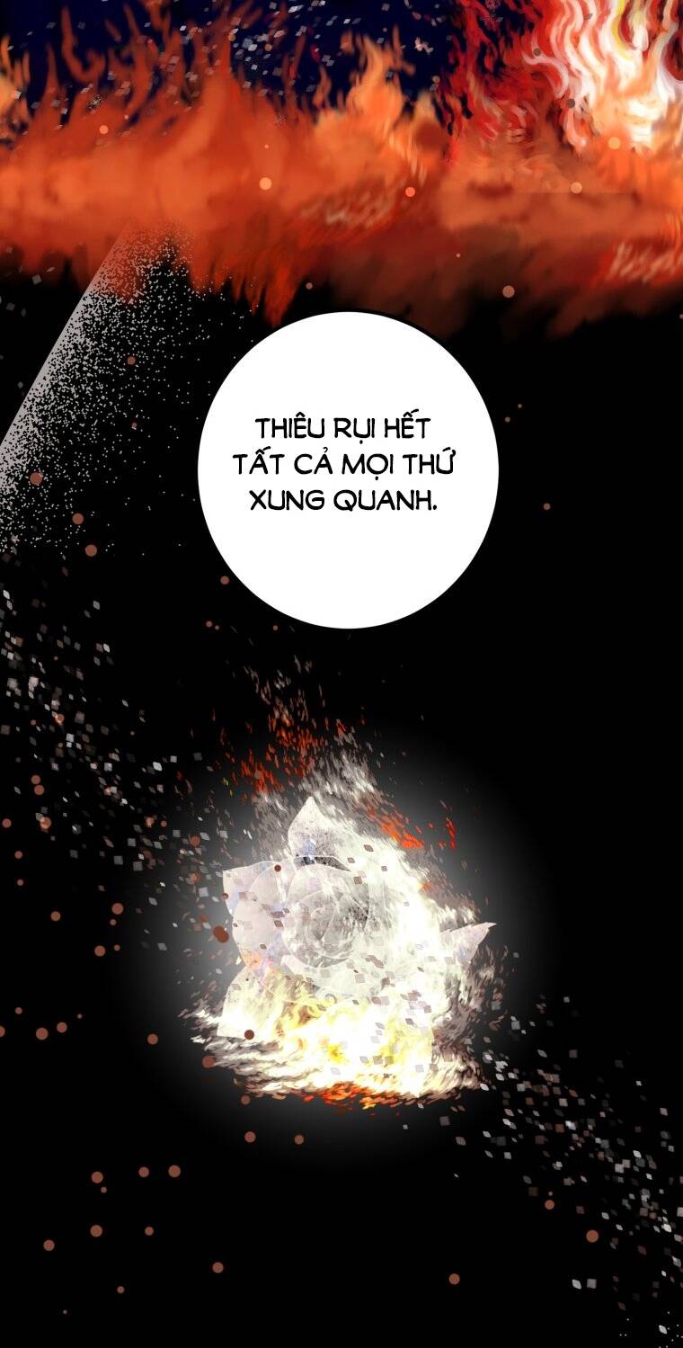 Khi Tôi Bị Chú Chó Tôi Bỏ Rơi Cắn Chapter 12 - Trang 2