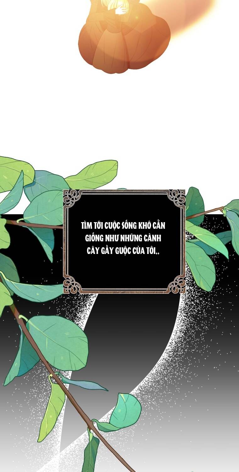 Khi Tôi Bị Chú Chó Tôi Bỏ Rơi Cắn Chapter 12 - Trang 2