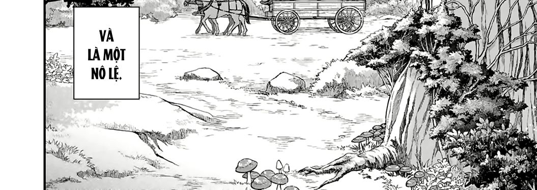 Khi Tôi Chuyển Sinh Thành Một Thanh Kiếm Chapter 1 - Trang 2