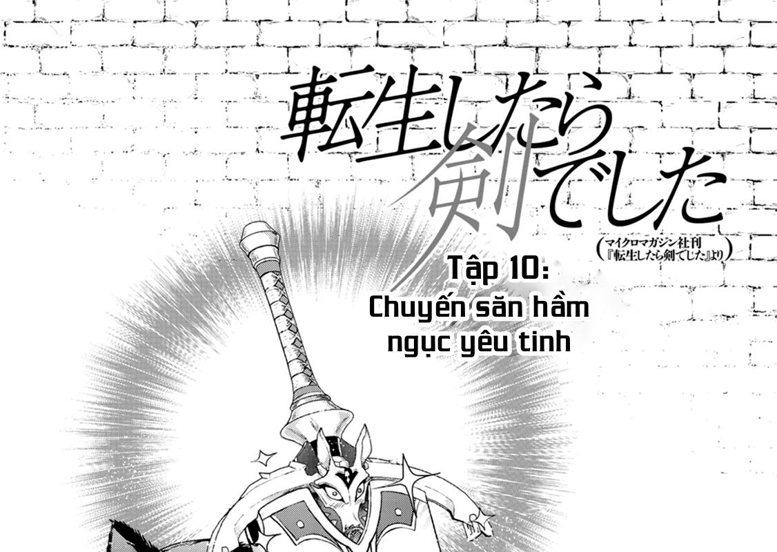 Khi Tôi Chuyển Sinh Thành Một Thanh Kiếm Chapter 10 - Trang 2