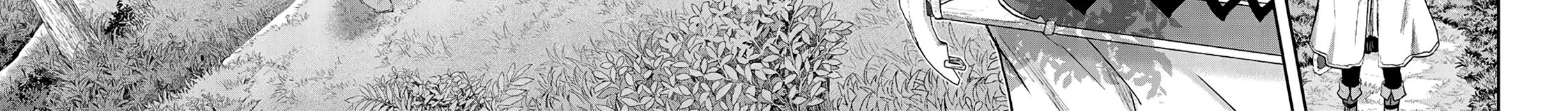 Khi Tôi Chuyển Sinh Thành Một Thanh Kiếm Chapter 17 - Trang 2