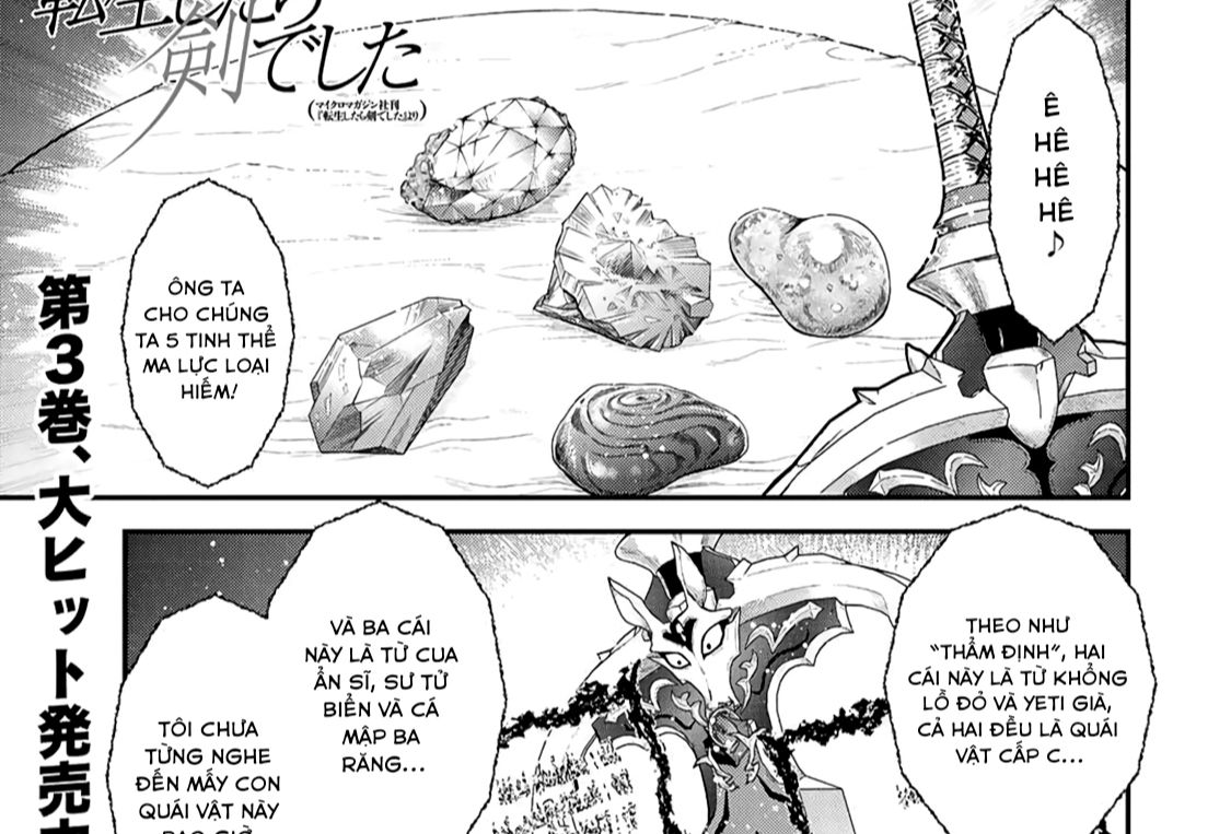 Khi Tôi Chuyển Sinh Thành Một Thanh Kiếm Chapter 17 - Trang 2