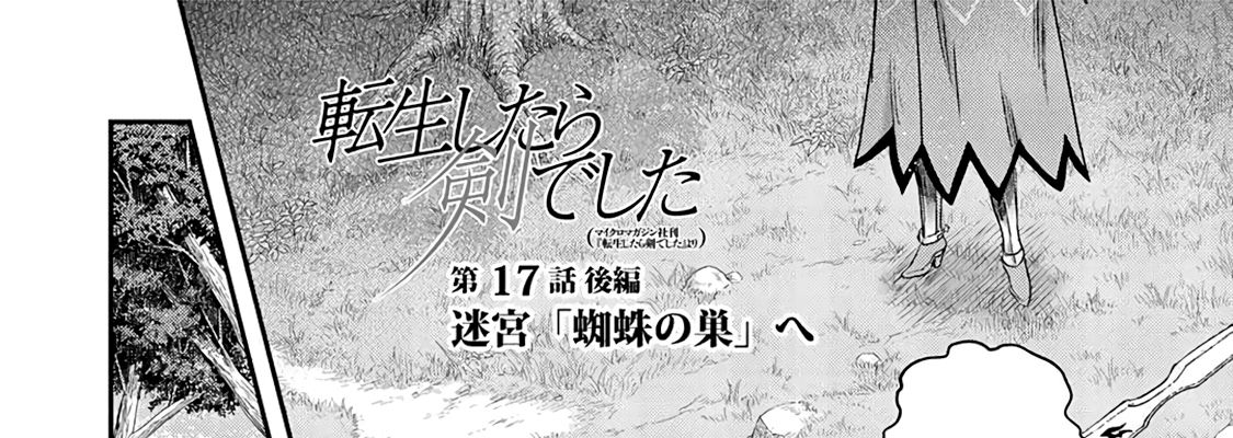 Khi Tôi Chuyển Sinh Thành Một Thanh Kiếm Chapter 17 - Trang 2