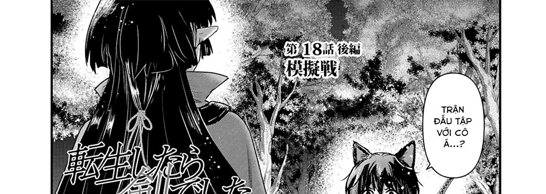 Khi Tôi Chuyển Sinh Thành Một Thanh Kiếm Chapter 18 - Trang 2