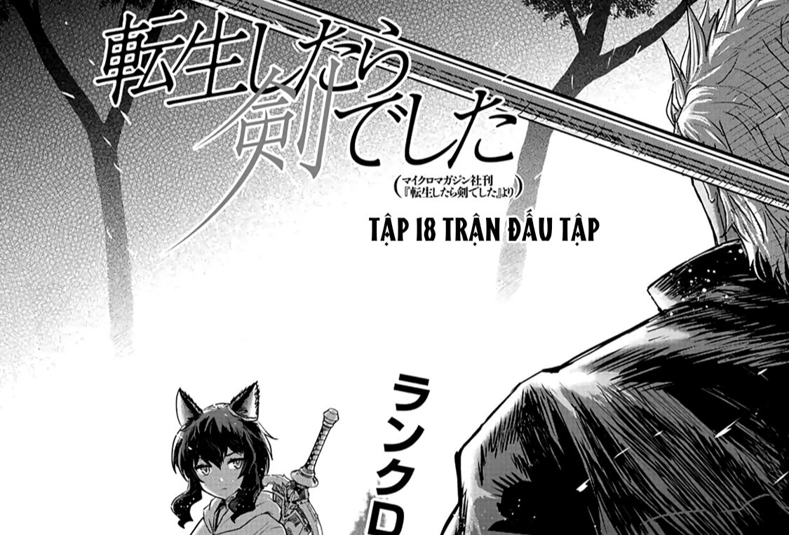 Khi Tôi Chuyển Sinh Thành Một Thanh Kiếm Chapter 18 - Trang 2