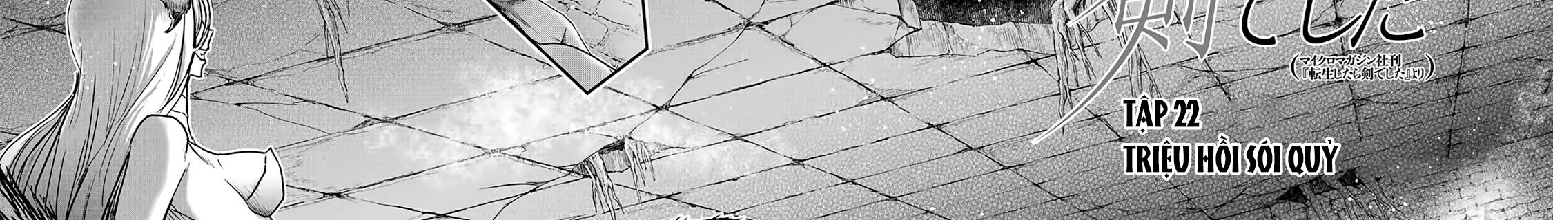 Khi Tôi Chuyển Sinh Thành Một Thanh Kiếm Chapter 22 - Trang 2
