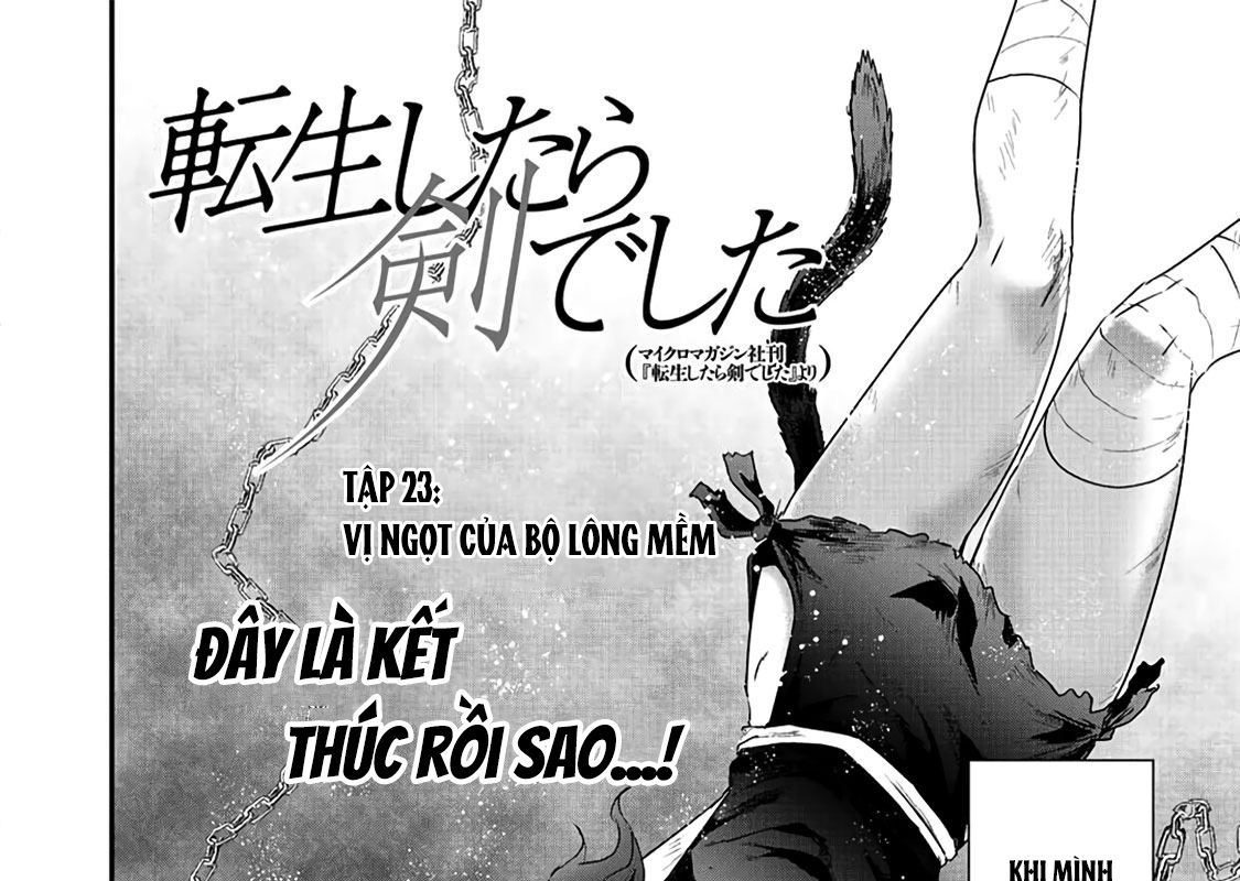 Khi Tôi Chuyển Sinh Thành Một Thanh Kiếm Chapter 23 - Trang 2