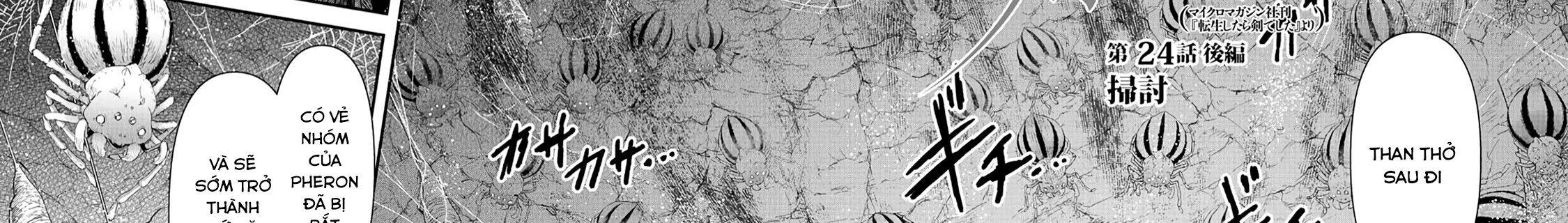 Khi Tôi Chuyển Sinh Thành Một Thanh Kiếm Chapter 24 - Trang 2