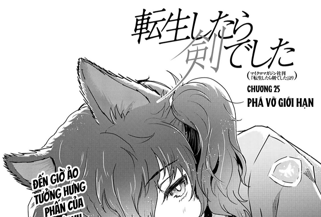 Khi Tôi Chuyển Sinh Thành Một Thanh Kiếm Chapter 25 - Trang 2