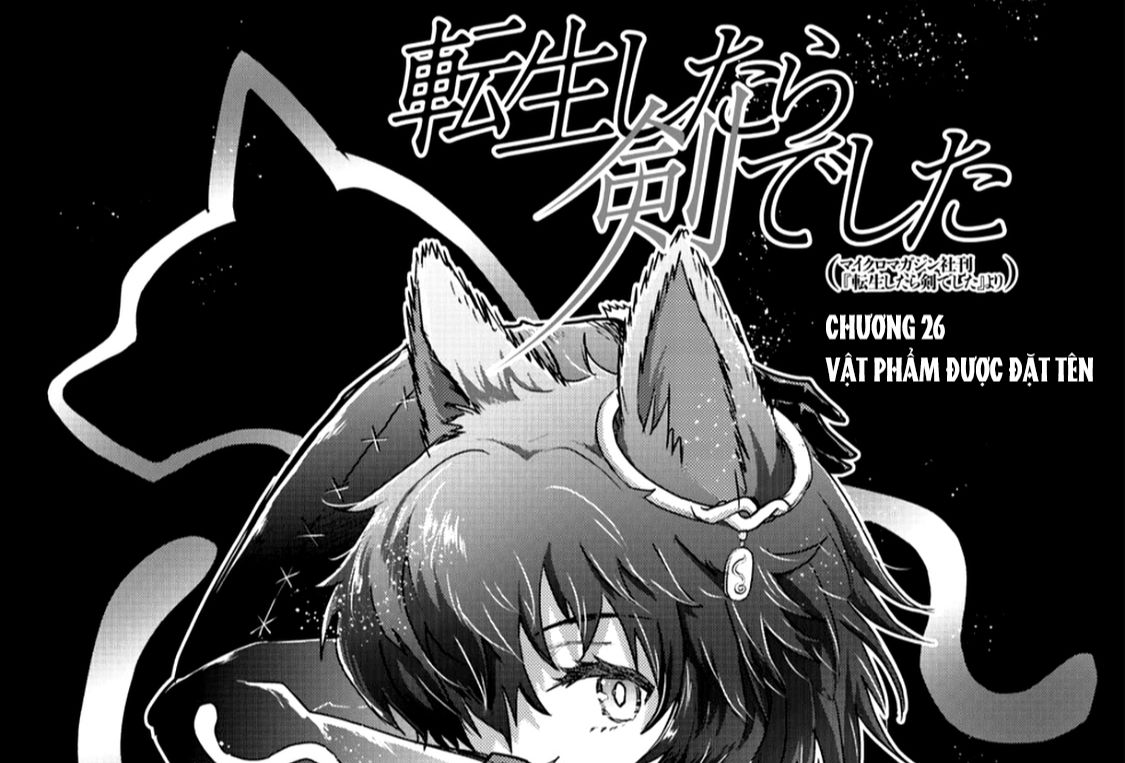 Khi Tôi Chuyển Sinh Thành Một Thanh Kiếm Chapter 26 - Trang 2