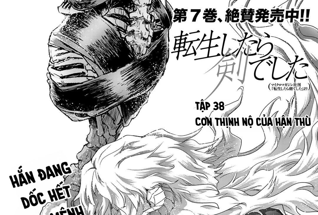 Khi Tôi Chuyển Sinh Thành Một Thanh Kiếm Chapter 38 - Trang 2