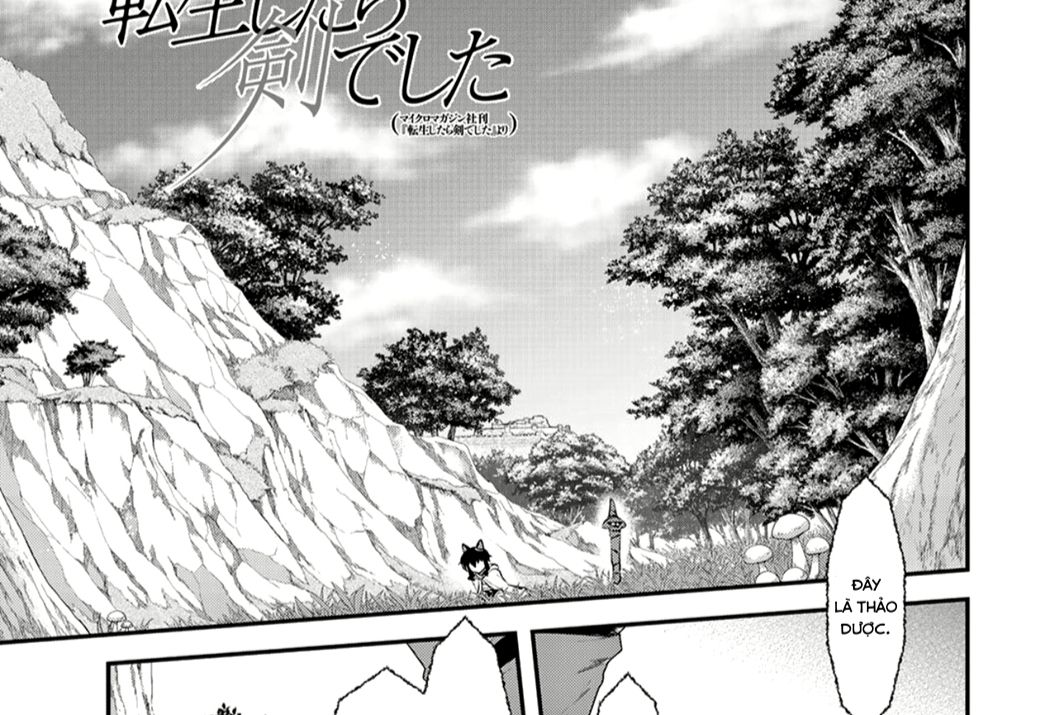 Khi Tôi Chuyển Sinh Thành Một Thanh Kiếm Chapter 8 - Trang 2